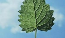 不向命运低头的说说 不服命运的霸气句子