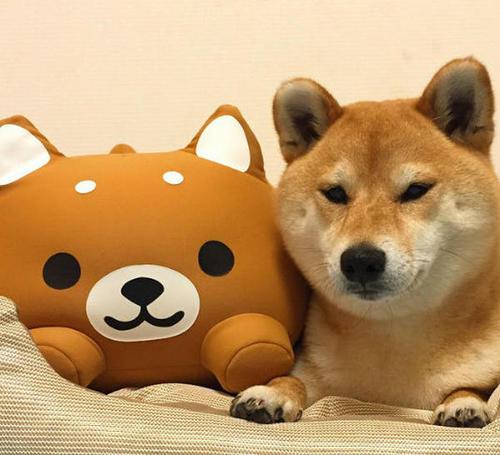 你必须快乐才能快乐