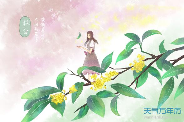 我希望您和我在返回的路上不会感到悲伤和幸福