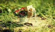 想喝酒喝到心碎的句子