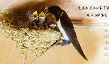 关于温馨的亲情句子