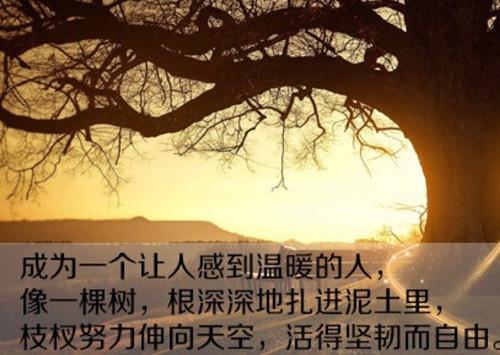 和孩子在一起每天都充满正能量