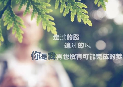 在每一个被遗弃的背后