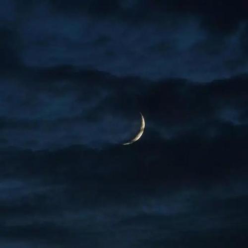 请考虑一下一个人为您生活着数十亿个细胞