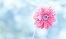 对友谊心碎的句子