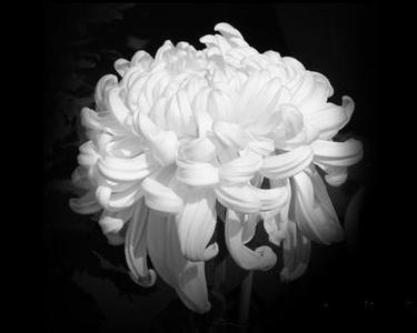 当我弟弟还是个孩子的时候