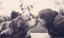 温馨快乐的开心句子