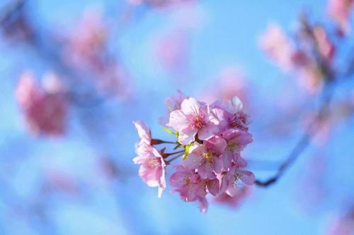 编辑编了一些有趣和快乐的句子来谈论心情