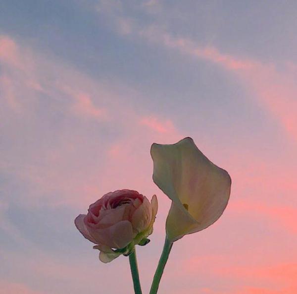 有一种结局叫命运