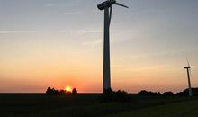 对环境失望的句子