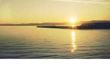 对亲人失望的句子