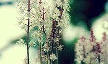 周末祝福语客户