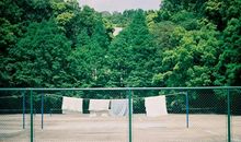 形容对兄弟失望的句子说说心情短语