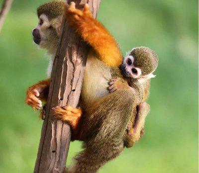 祝新妈妈和婴儿健康