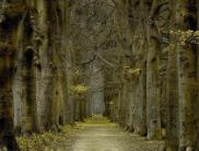 这个世界上有太多正能量等待着我们去发现