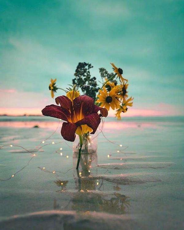 月亮是故乡的源头