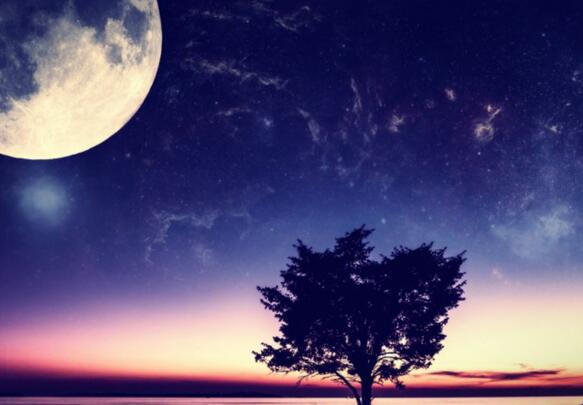 世界上永远没有真正的东西