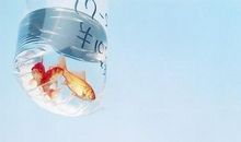 学会天天开心的句子