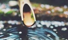 高雅有气质的说说