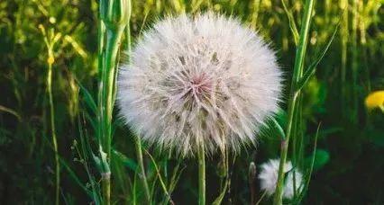 我不确定您对我有什么感觉