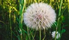 希望不后悔的句子