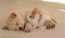 开心合适发朋友圈的句子