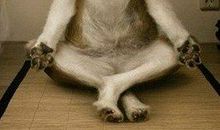 qq空间说说搞笑