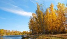 夜晚心烦的幽默句子说说心情