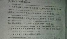 描写犀牛的句子