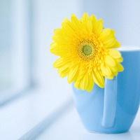 让其他人敞开心hearts