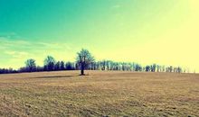 赞美女人有气质的句子