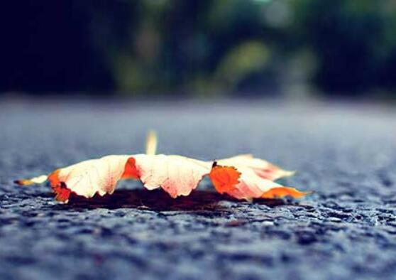 我希望每个人都喜欢