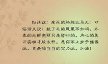 描写凤凰的句子