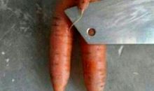 一句话笑话，笑死人不偿命