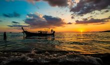 优美的句子摘抄