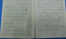 描写老虎的句子