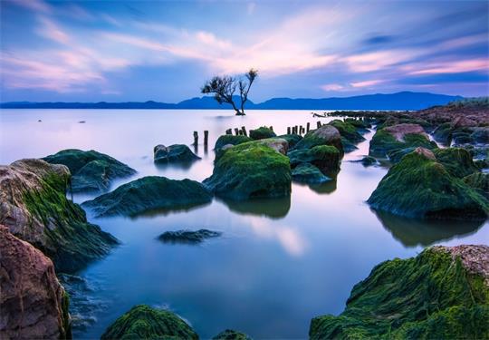  [优美句子摘录]小编整理了一些优美的句子