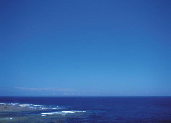 早晨的阳光会及时照在您的PP上