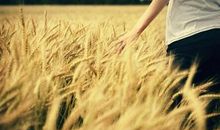 早安正能量简单一句话