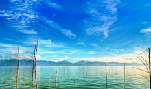 正能量激励人奋斗的句子