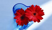 庆祝升职开心的句子