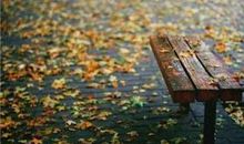 描写秋雨的古诗