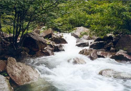 对于那些热爱摄影的人