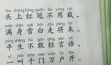 描写公鸡的句子