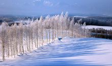 描写十二月份的句子