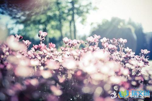 介绍性提示：即使您知道自己注定要一个人呆着