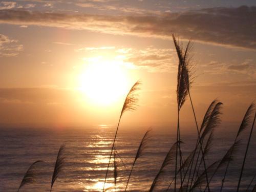 我整理了一些有关幸福和兴奋的句子