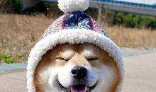 要开心每一天的句子