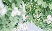 挫折过后的人身感悟 经历过苦难才懂得美好