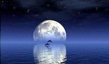 赞美月亮的句子